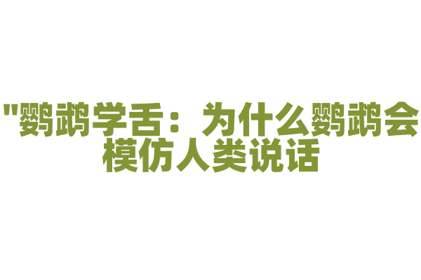 "鹦鹉学舌：为什么鹦鹉会模仿人类说话？"